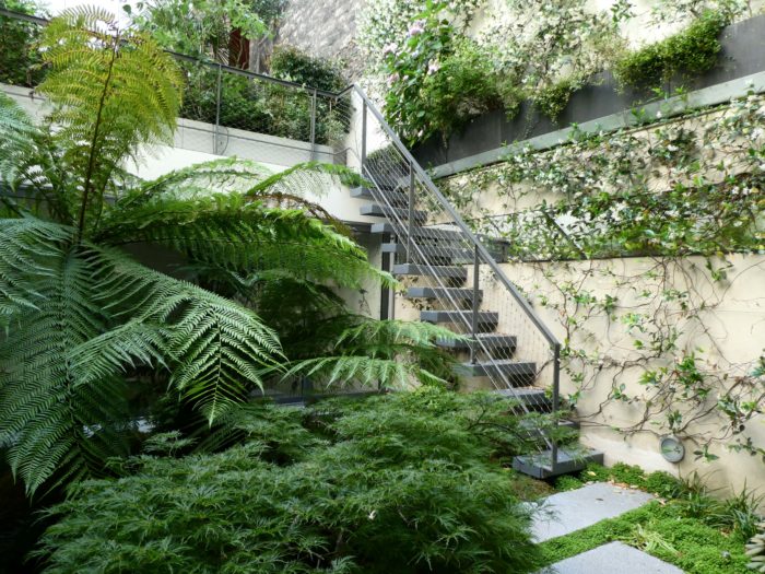 Jardin d'ombre composé de fougères arborescentes au cœur de Paris