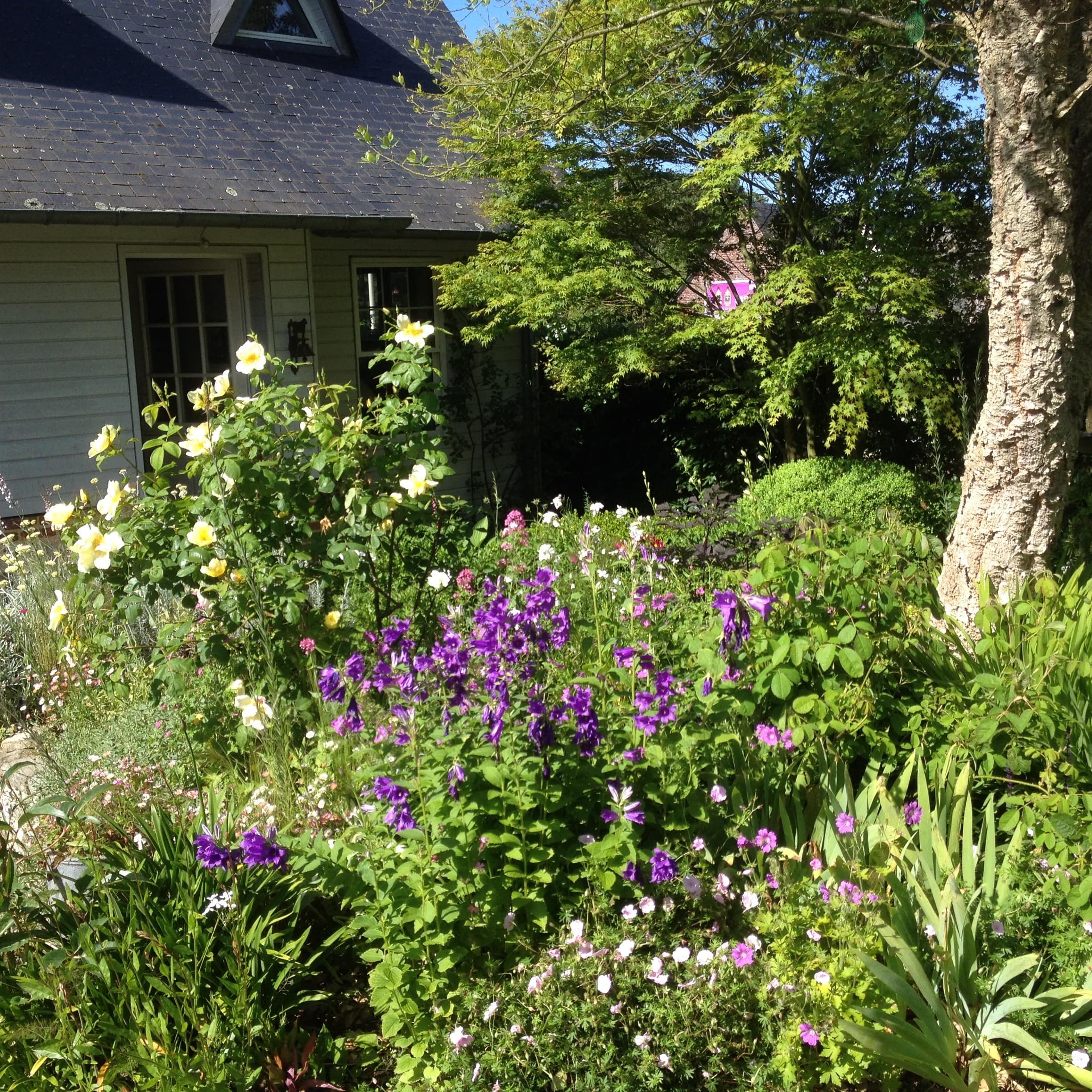 Jardin Normand