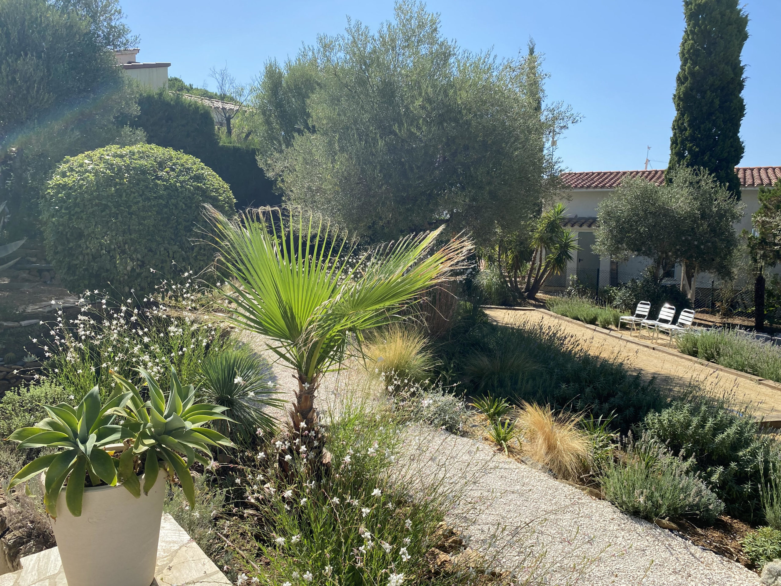 Intégration d'un terrain de pétanque se fondant dans la végétation sur la Costa Brava