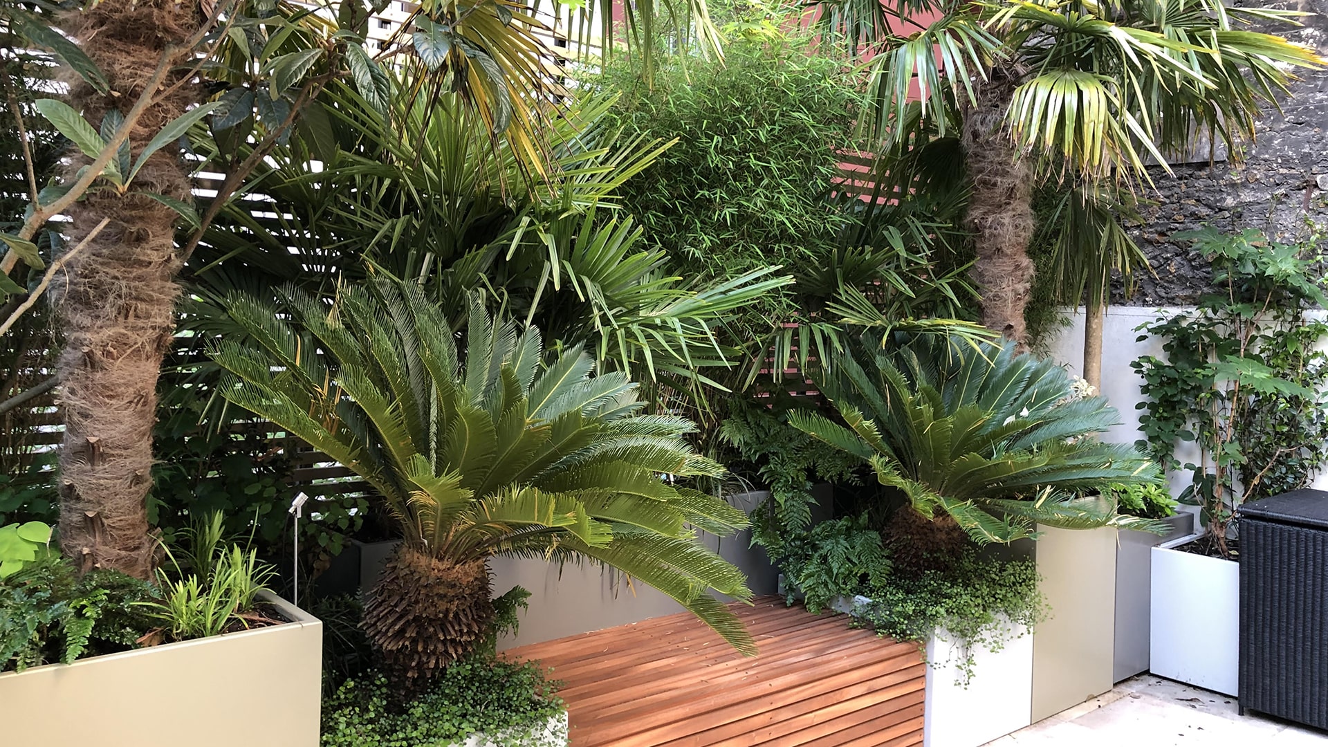 Terrasse au cœur de Paris avec un banc en bois